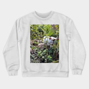 Little cat Susi in the garden Crewneck Sweatshirt